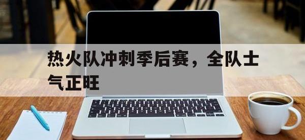 爱游戏平台官方官网-热火队冲刺季后赛，全队士气正旺