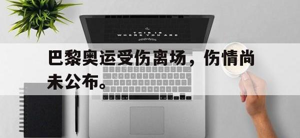 爱游戏平台官网下载-巴黎奥运受伤离场，伤情尚未公布。后缀