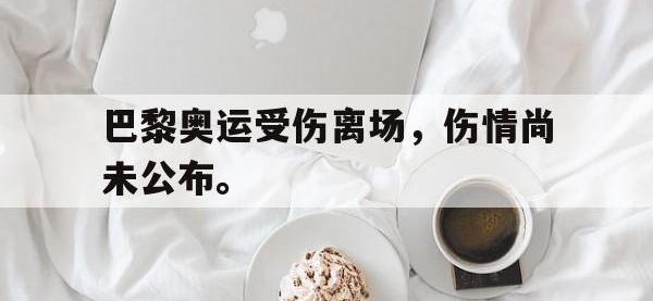 爱游戏平台官网下载-巴黎奥运受伤离场，伤情尚未公布。