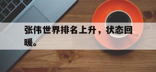爱游戏平台官网下载-张伟世界排名上升，状态回暖。